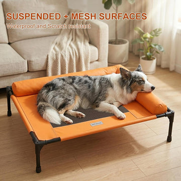 Dog and cat beds