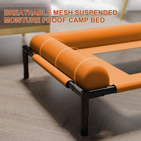 Dog and cat beds