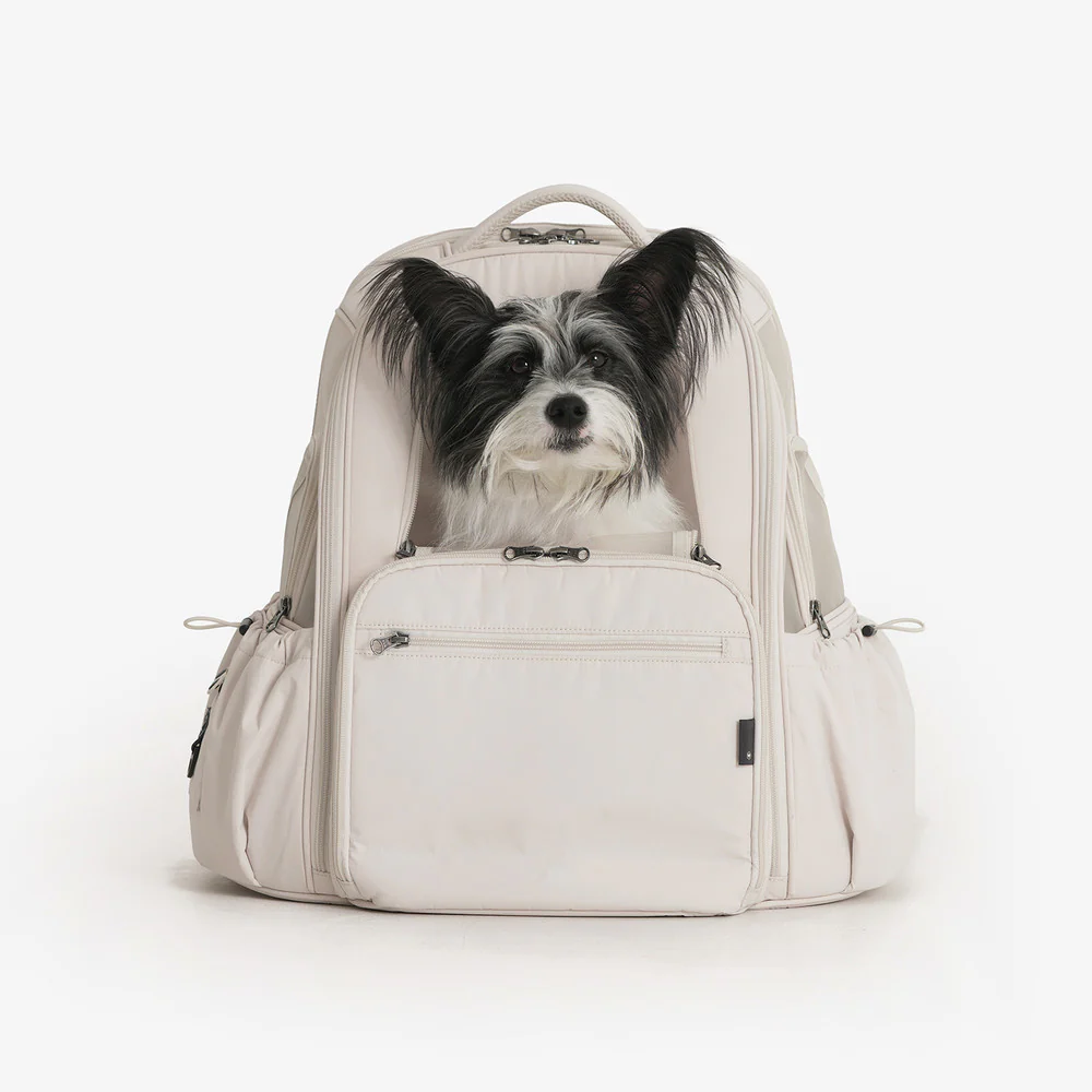 Breathable Backpack For Pets